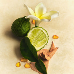 Mini Hair & Body Mist - Weekend Pair