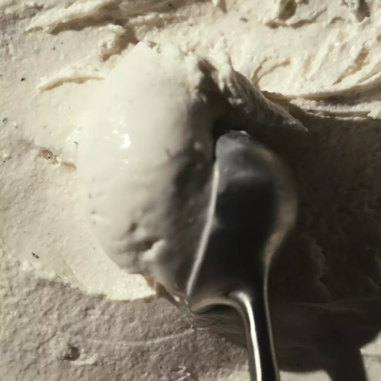 Vanilla Bean